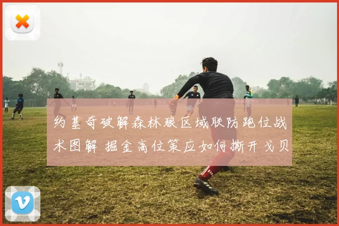 约基奇破解森林狼区域联防跑位战术图解 掘金高位策应如何撕开戈贝尔防线