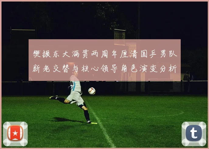 樊振东大满贯两周年厘清国乒男队新老交替与核心领导角色演变分析