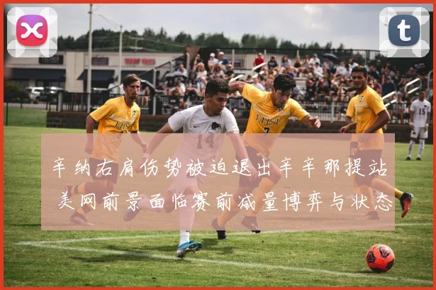 辛纳右肩伤势被迫退出辛辛那提站 美网前景面临赛前减量博弈与状态衔接难题