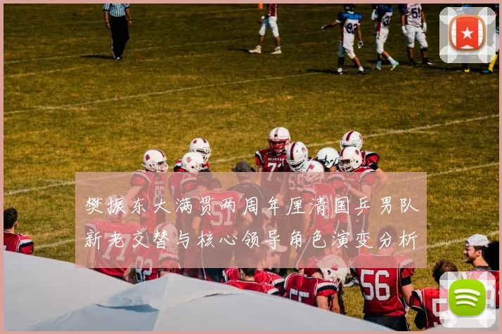 樊振东大满贯两周年厘清国乒男队新老交替与核心领导角色演变分析